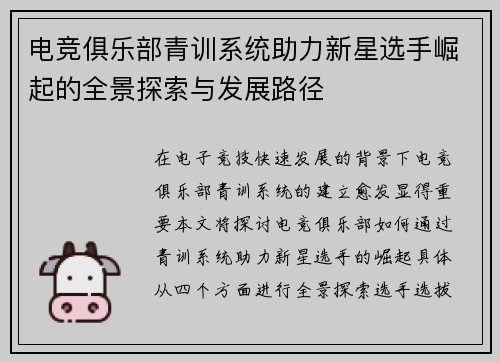 电竞俱乐部青训系统助力新星选手崛起的全景探索与发展路径
